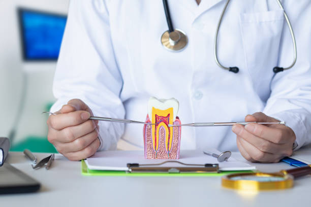 Best Cosmetic Emergency Dentistry in New Sharon, IA